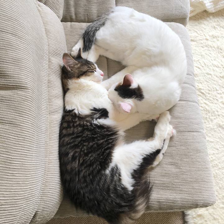 F07b0478 c4d3 419a 8e15 de4e38fc06b5