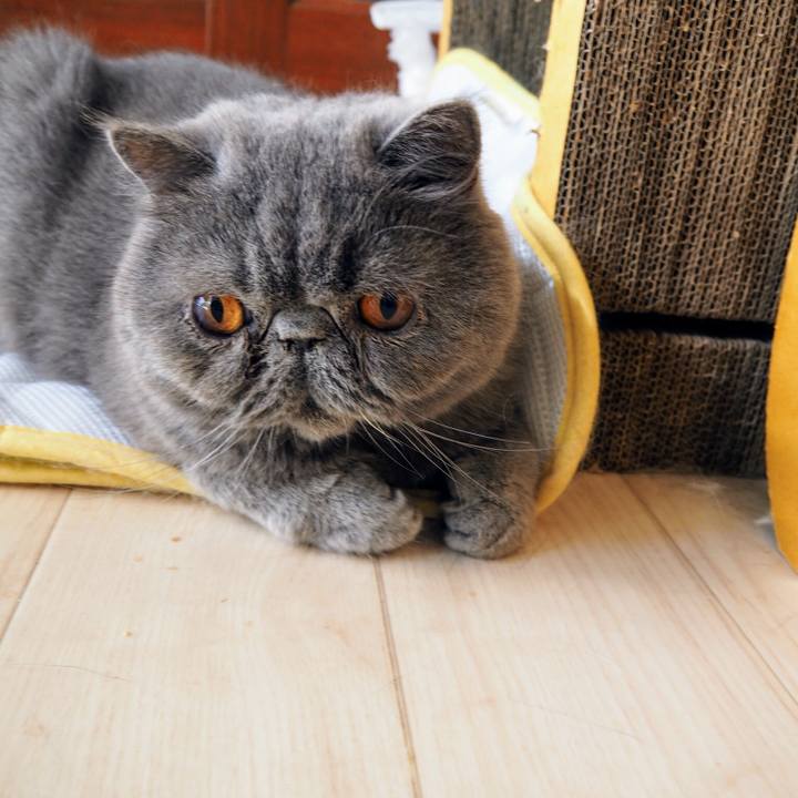 F07b1929 680b 4545 9224 9650ce4742d0