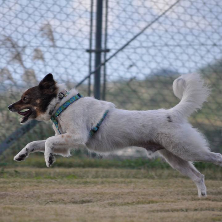 F07b33b2 c97f 4105 a637 74bb5e08a24e