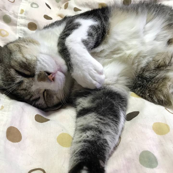 F07b4a7d 0c4a 41f0 9001 b772c6a7412d