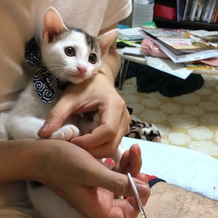 F07c25e5 d9d9 4e06 b750 1a1892e7c75c