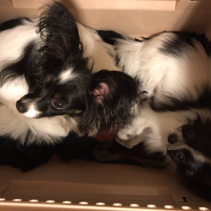 F07cc38e 6afd 4d6b bdd0 a60602df503e