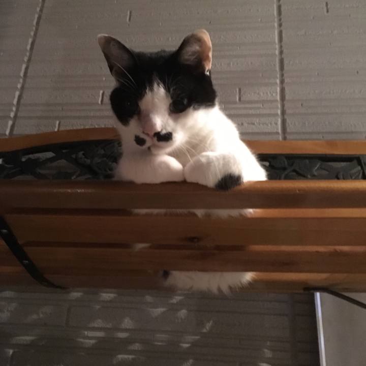 F07ce6b7 2241 4c62 9e33 18c0b0162d0b