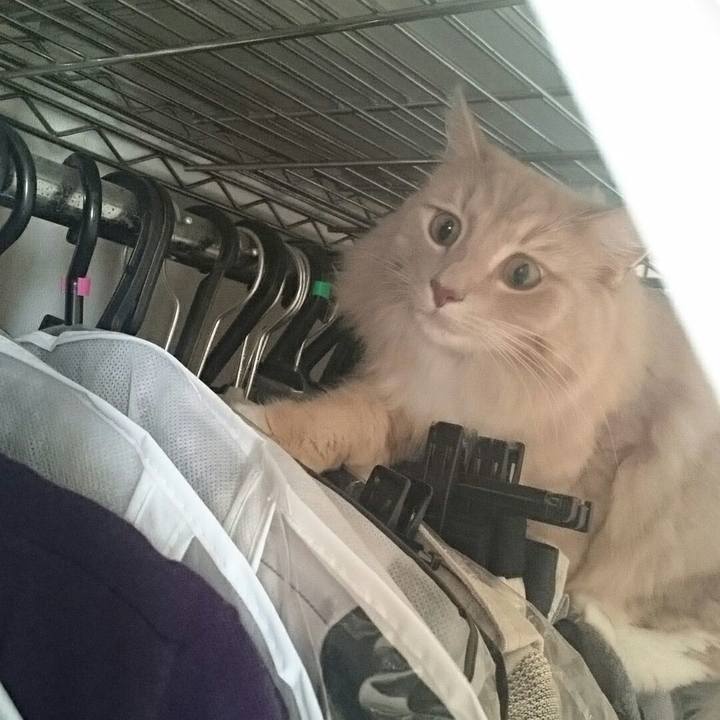 F07ce75f 1643 4599 9f28 9ba9b9e66bb1