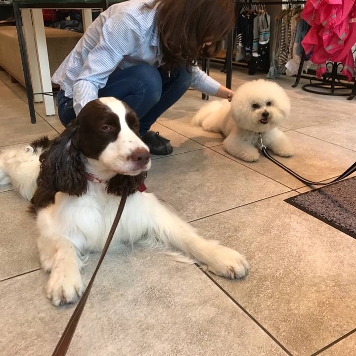 F07d6656 6486 4ef7 bfa7 b76aea5cb5d2