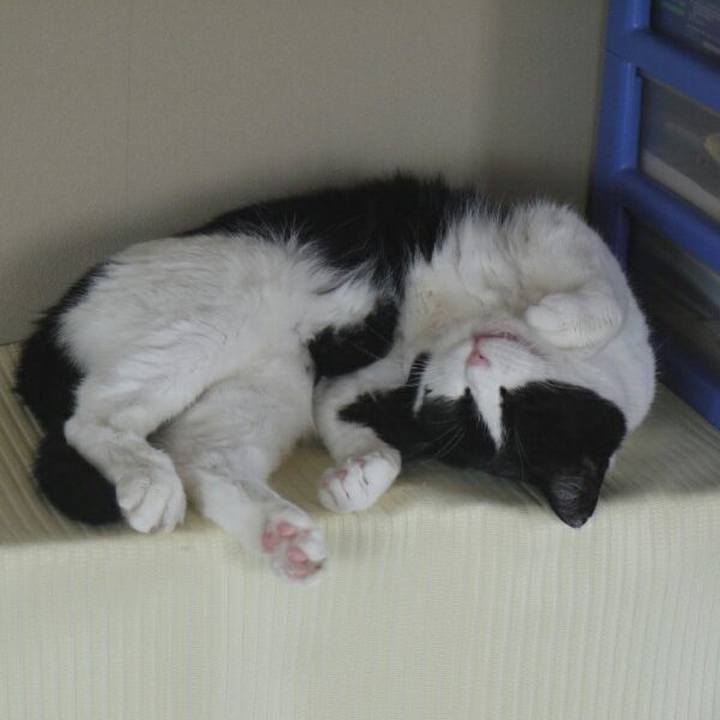 F07db44a ff57 45d4 9e60 70acba2fefbc