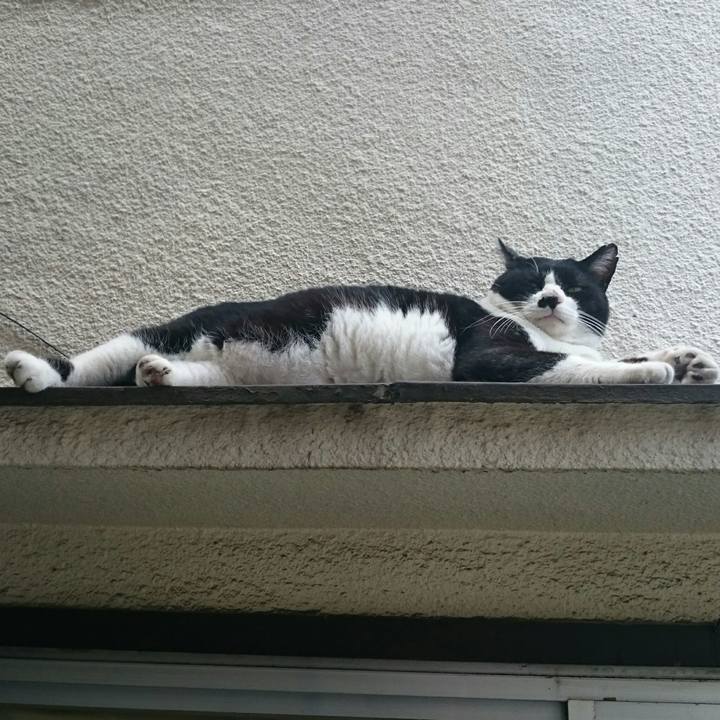 F07e17c6 e4ab 478c a203 2a49fede3025