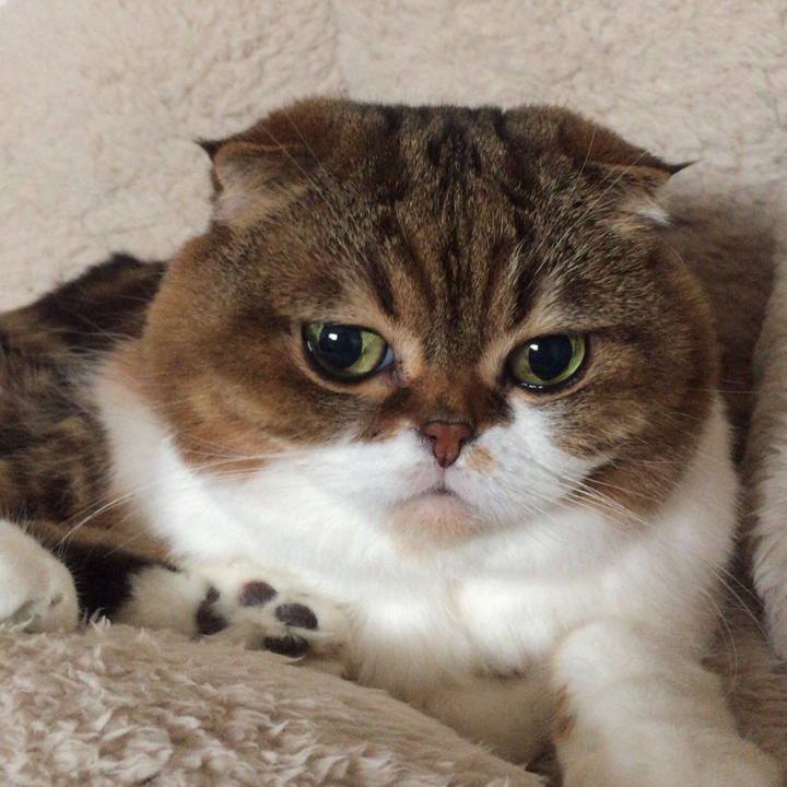 F07e9319 0f43 43e8 982a f4679f771c4b