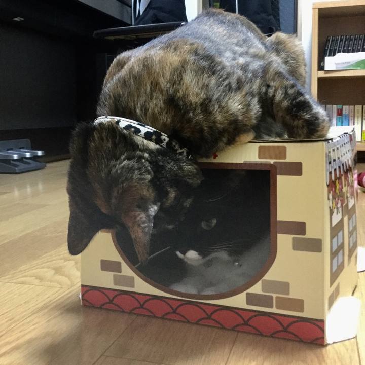 F07f215e 9197 459e 8d5e 132acd135832