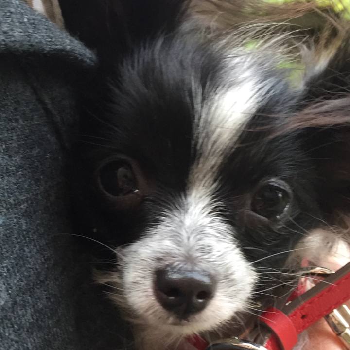 F07fd317 0a2c 4636 8dc8 307a08d2ceca