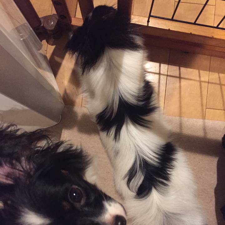 F07fe1fd 153f 4b36 b2d2 77b63e940b09