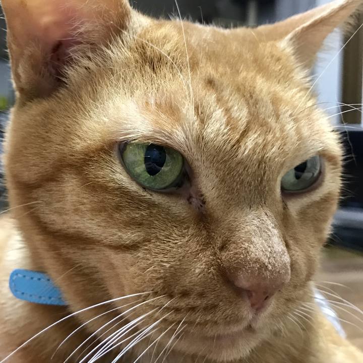 F0804189 5182 480d a4ca 44b47a2bb424