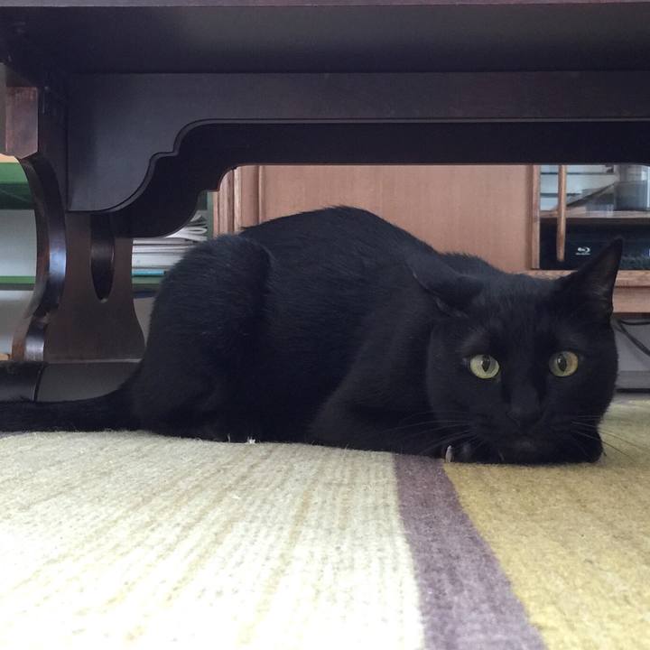 F080cd89 7f90 42ad 8f0e b14f6def44d3