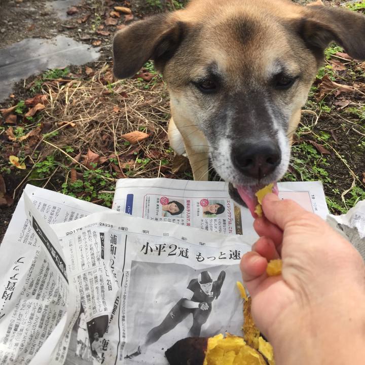 F08199af d89b 4048 b55f a68592e367e7