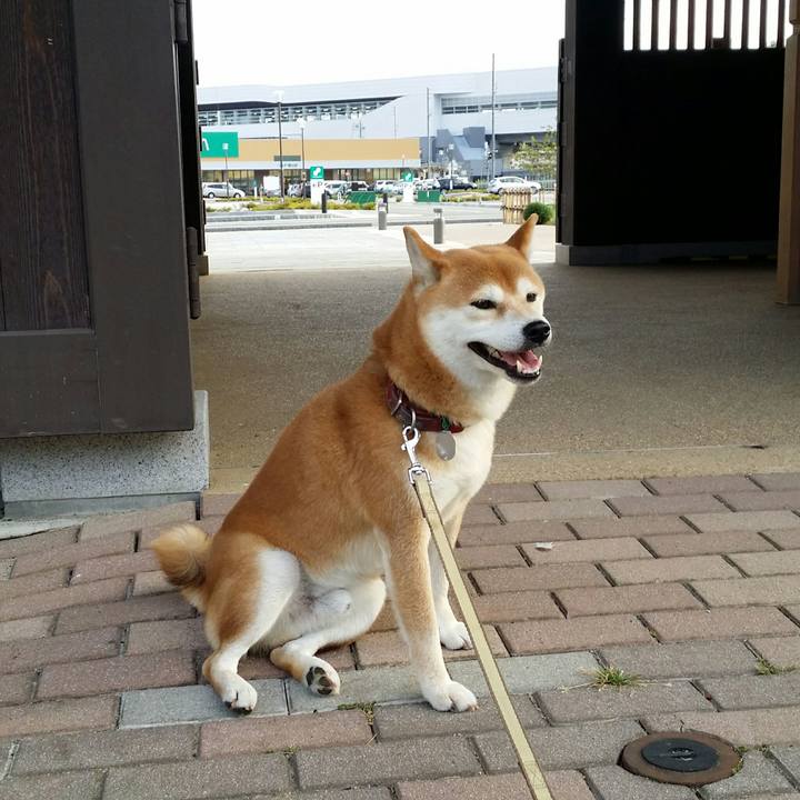 F081bd88 1d20 4de8 a846 c466434ac526