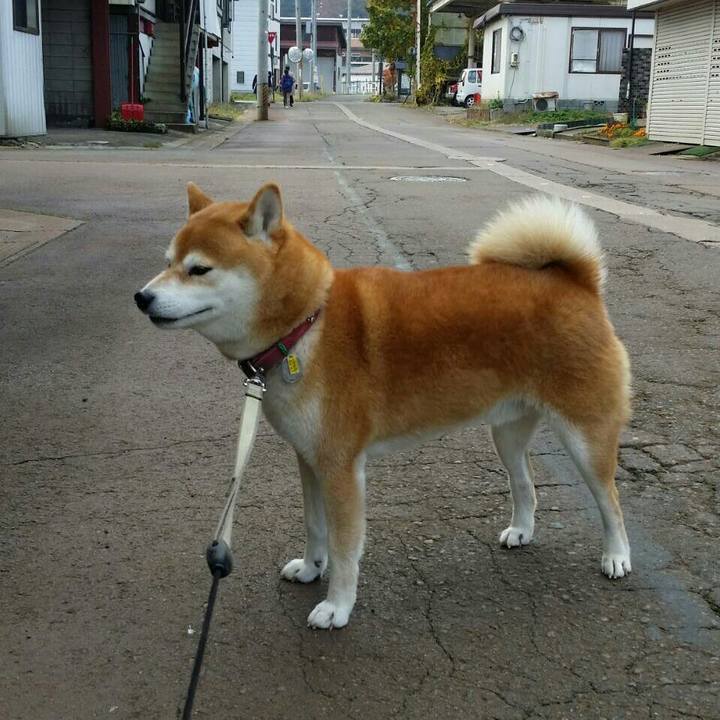 F081f5af f50b 4569 9ec5 78fa4c3f536f