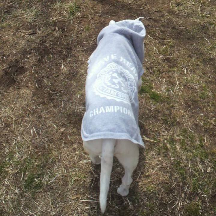 F0822727 8a92 4274 b20c b1c92f98645f