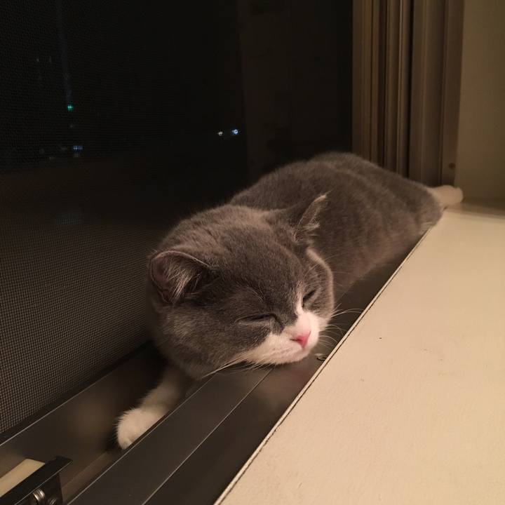 F082333a 8702 494b b417 75f275311881