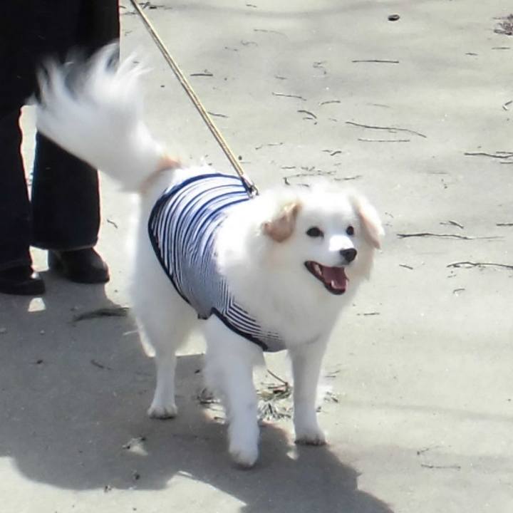 F082a742 fecd 4521 a09e 4f1329894d36