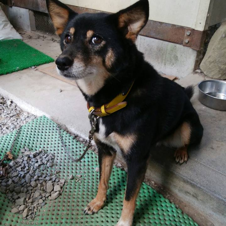 F0835b7d a6c4 45fb ab55 7d14f2d13aec