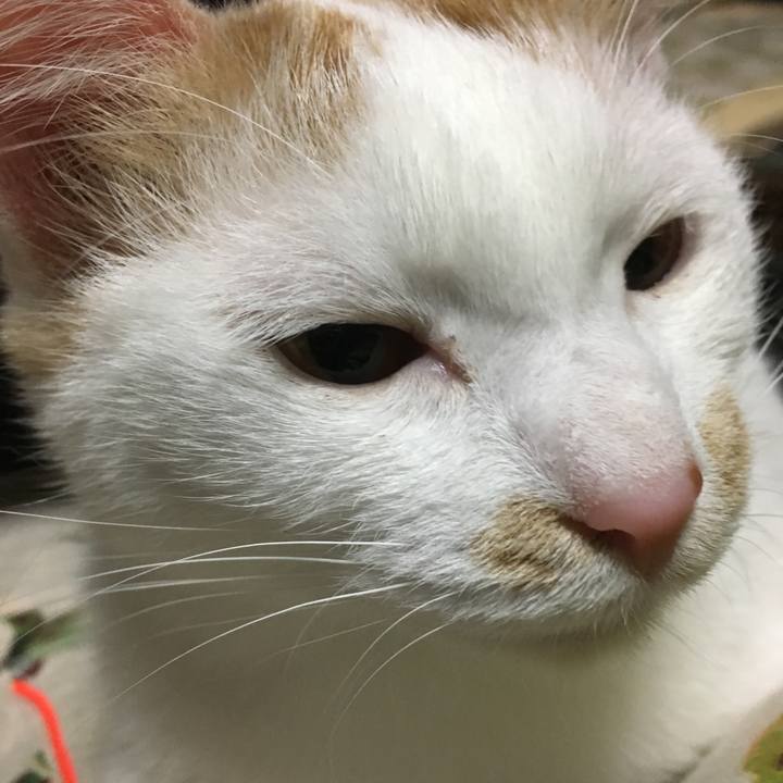 F0835fa3 8591 4ee1 8f4e 8384ee26bf2b