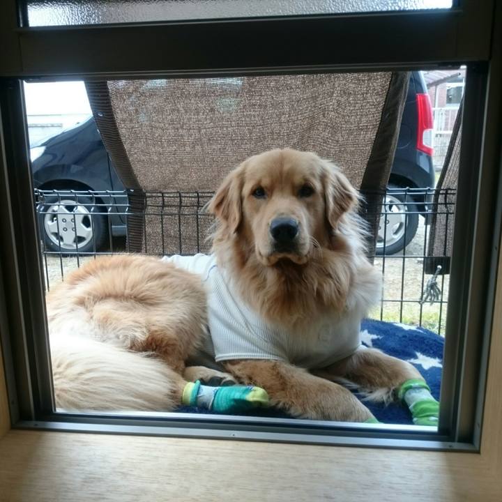 F0836247 a022 4110 97fe 60481edfe5e1