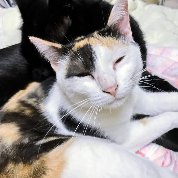 F0838373 1cdd 4947 a862 64469082db67