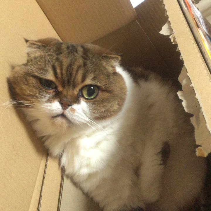 F084bc82 6e52 4ef1 a2a6 8710f6a873c7