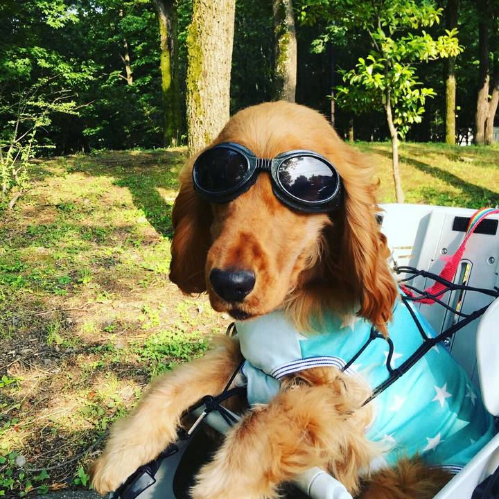 F084ee34 4fee 45ab bf6f b1695a6eb767