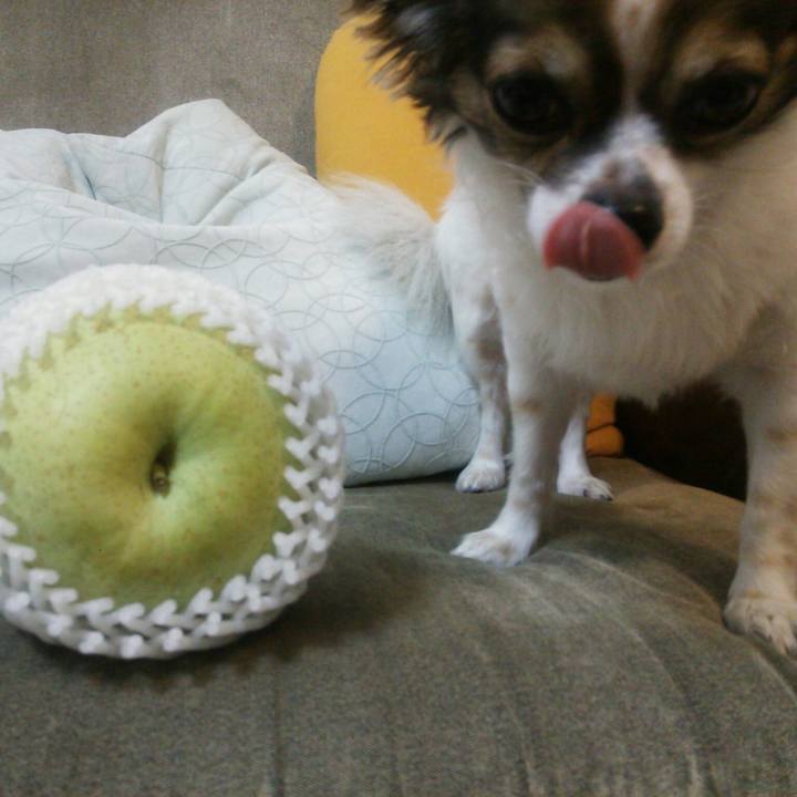 F084f6e6 7660 445b ad95 b48b90bdf1b3