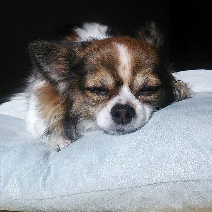 F0851bed d3e5 4b3c 94e9 562f97ba88eb