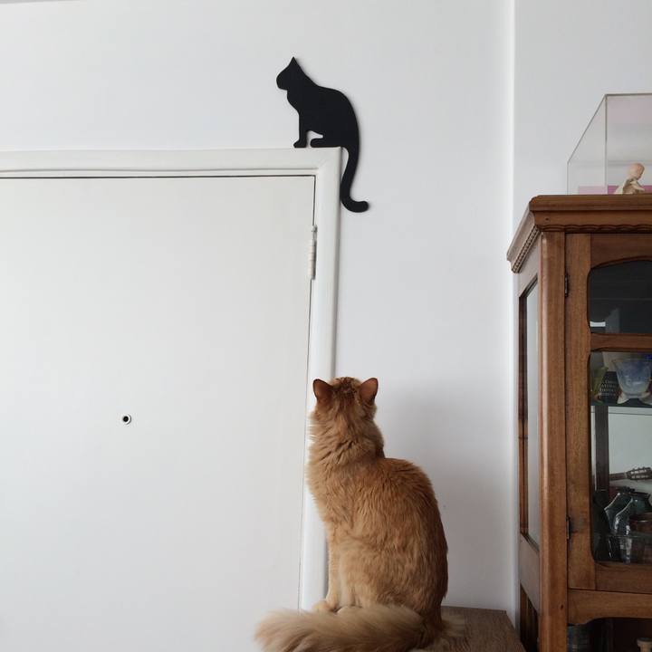 F0856f16 bceb 49ca 9d6b ead6f5aeb5c1