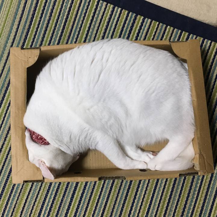 F085d69b 8652 432f a8c9 810b6cf305f4