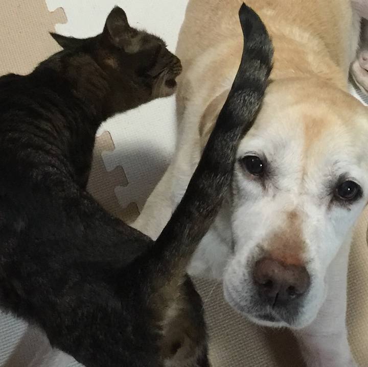 F086e24d e0bf 491c a5e6 b2d134e6f21e