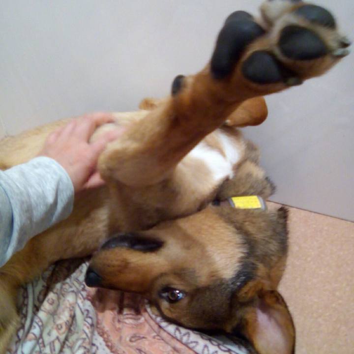 F08770c0 c7b8 41a3 813d de03e9a54f67