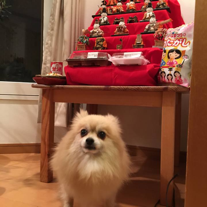 F087cc44 5a67 47c6 b206 6320496ab486