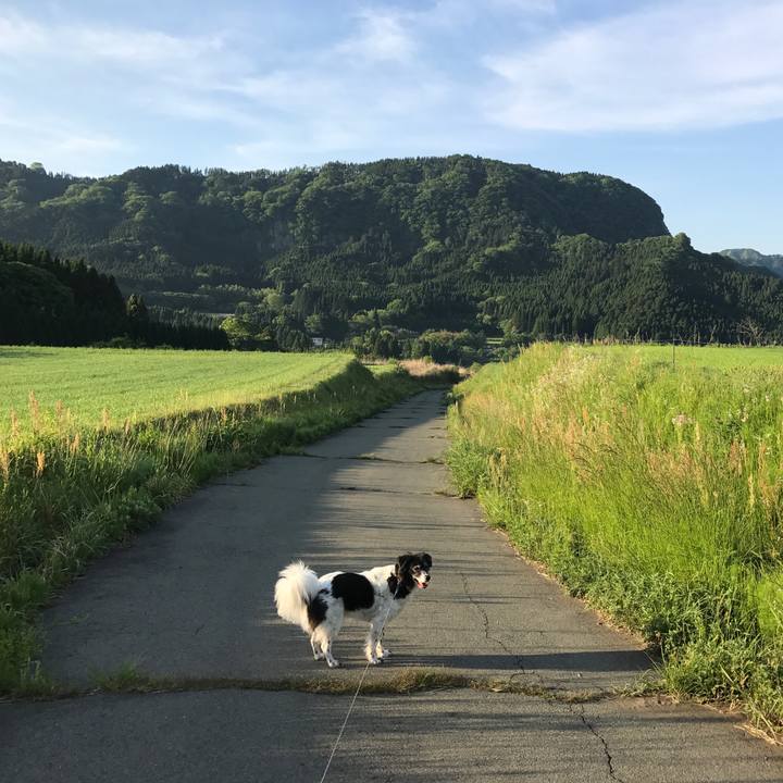 F087f327 80db 4a2e 8ac1 2fbdc125af88