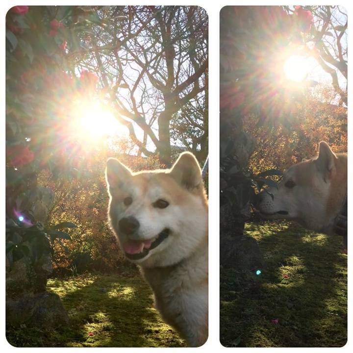 F088d904 3380 476f b7e7 94b344c42f53