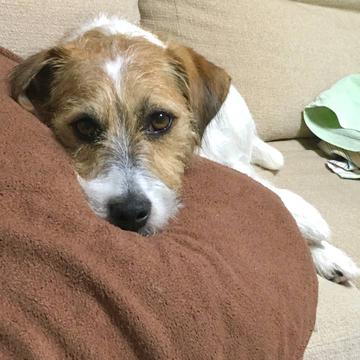 F088fbac 6d2e 4842 9f4d c738073abfff