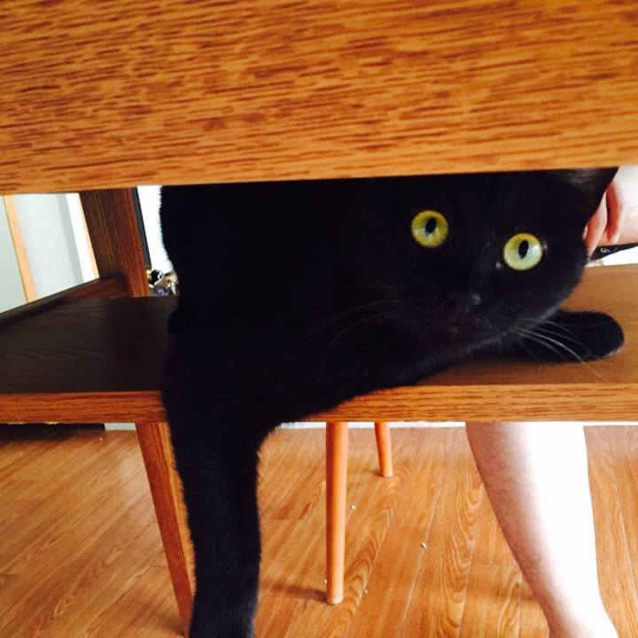 F0891784 ef1b 4870 a8ca 0b0e32f52790