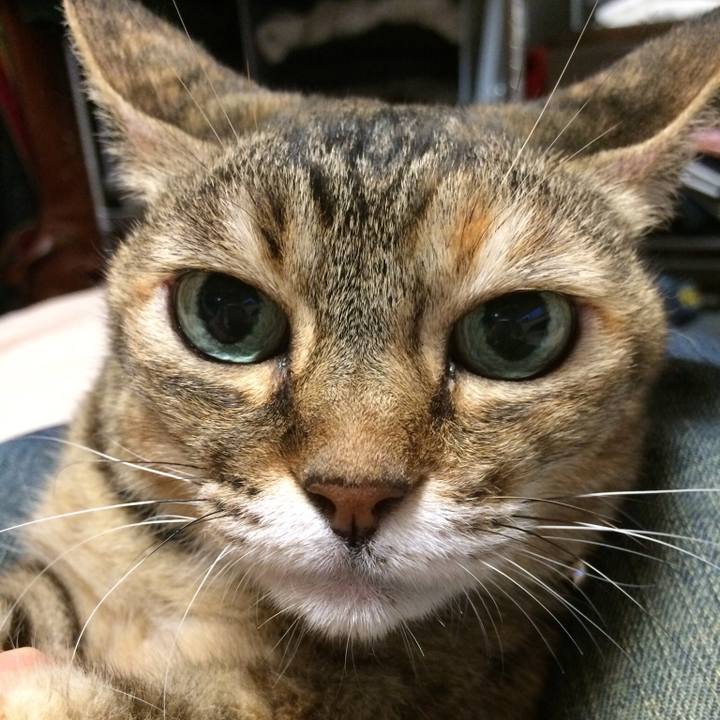 F089444d 2998 46b7 89ba 4885368896e9