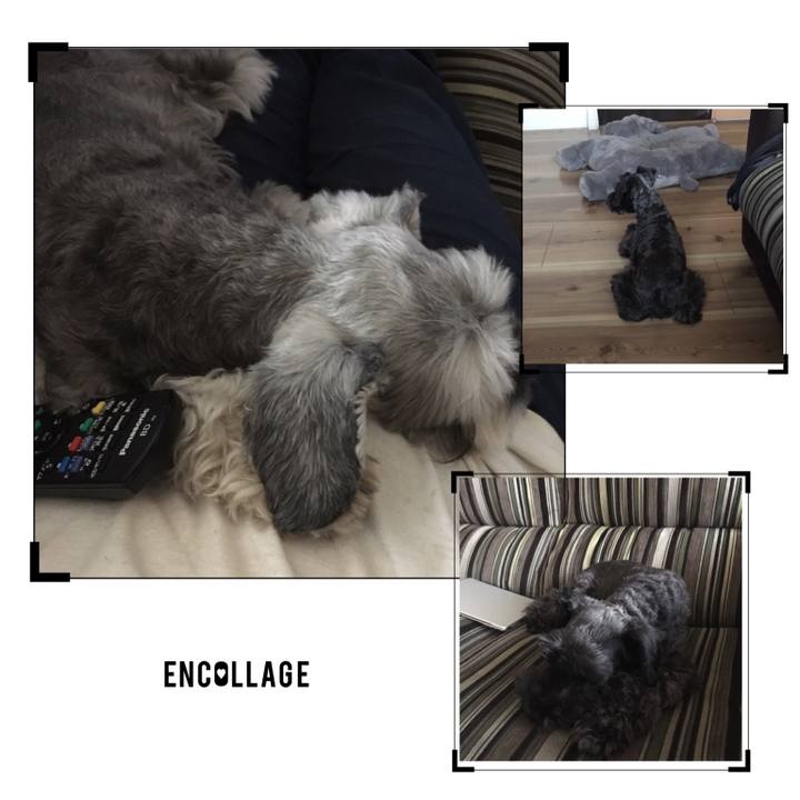 F08a0073 7b2c 40f6 8f15 b3e39f30bb98