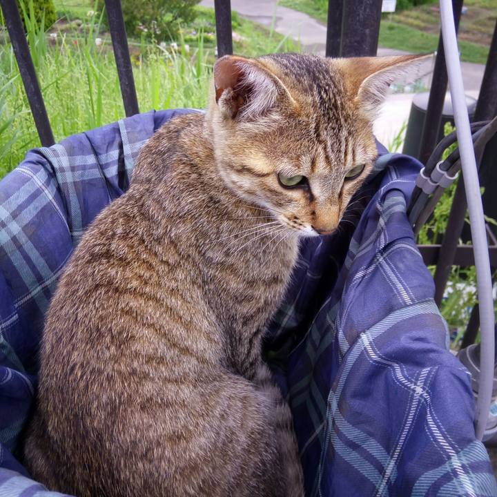 F08a529c 45d3 41c1 915b 0c9a1d058dfb