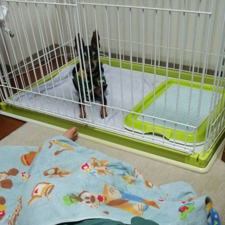 F08aa63c c5e8 4097 8bb7 1846a1258317