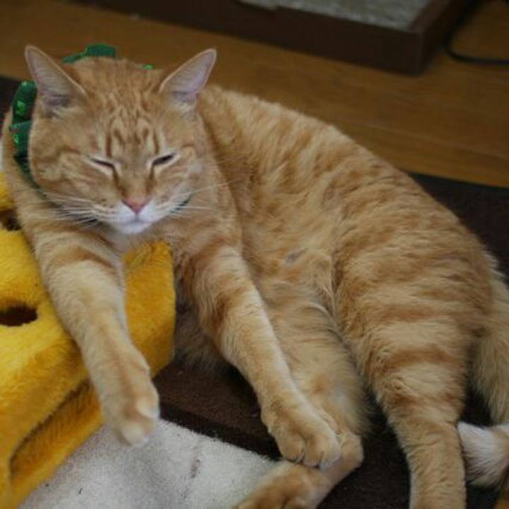 F08ac63a d750 4d49 af44 044d411b33ae