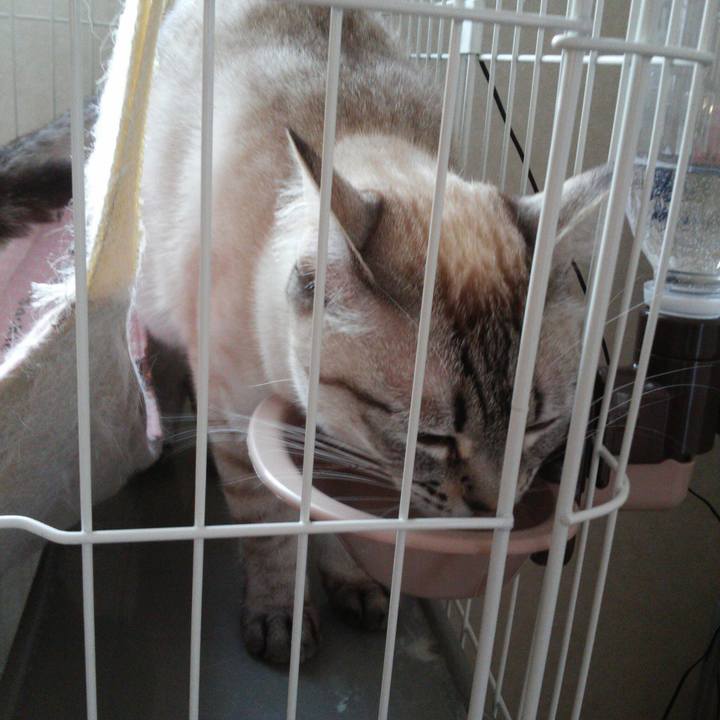 F08b4aac ecf0 4e38 ba5e 7f0c95432e66