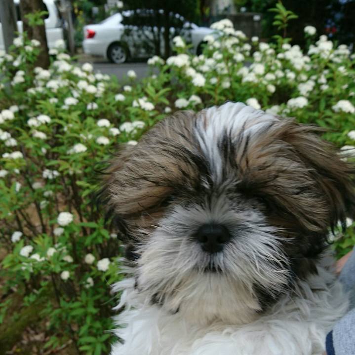 F08c427c 6e44 490f ab8a cad1f46a0595