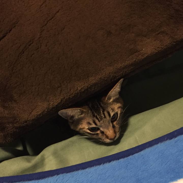 F08c627c 2b27 4f8c b168 c02e2cda2dac