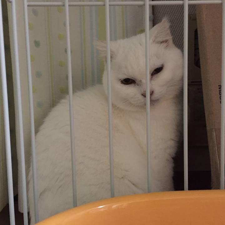 F08cbb32 f52c 45b0 80e8 4cb71997c0bb