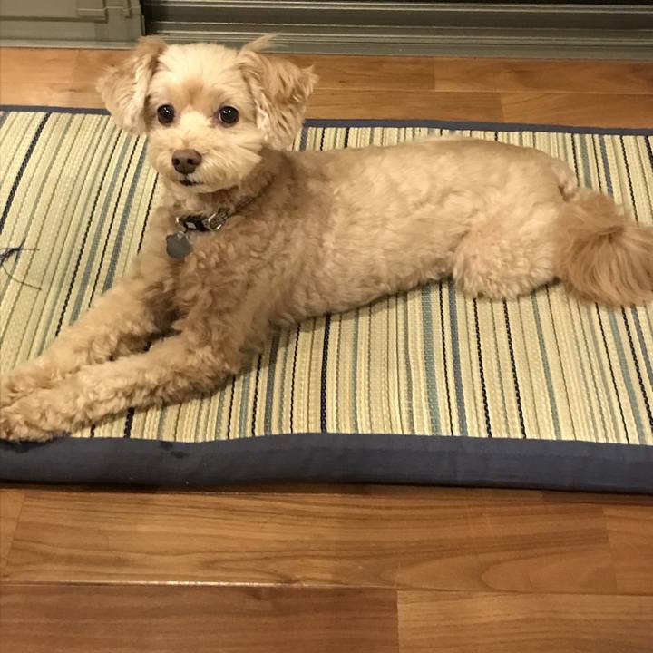 F08d70bb 4bae 4e70 b575 4038a096467f